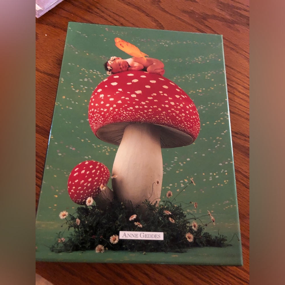 Anne Geddes Stationary Set